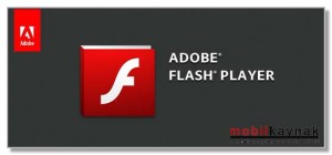 Flash-Player-Nedir